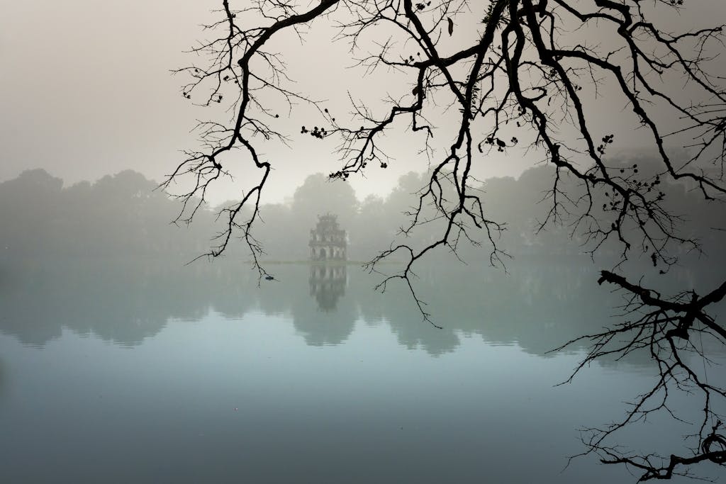 Serene morning view of a misty lake with tree branches and tranquil reflections.