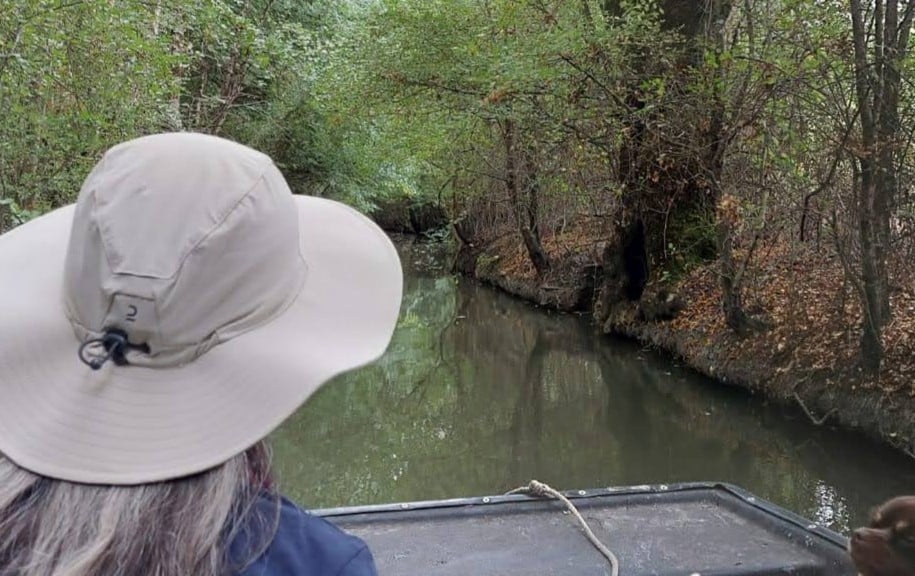 Vent de fin d’été : personne vue de dos sur une plate dans le Marais poitevin, contemplant les saules et frênes têtards sur l’eau.