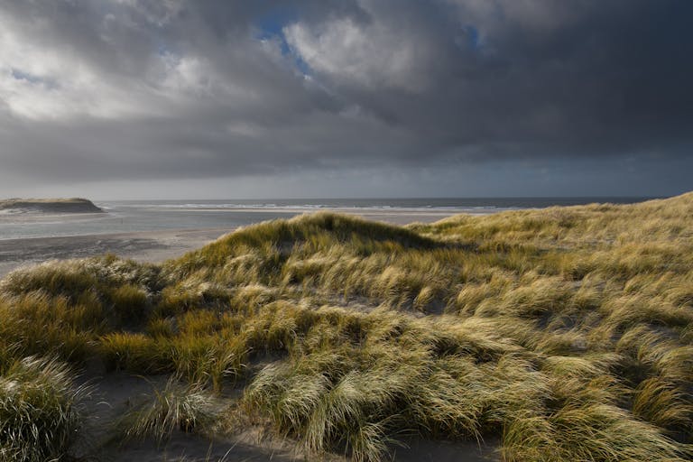 Vaste paysage côtier à Den Burg, avec dunes balayées par le vent et ciel tourmenté, où le sable et la mer se mêlent au corps et à la chair, en écho à un poème sur la décomposition et l’identité avec le paysage.